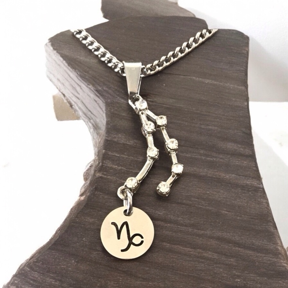 🆕 Capricorn Crystal Constellation Heart Necklace Alloy/Stainless Steel
